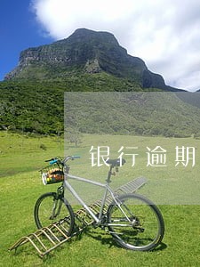 银行逾期贷款 核销